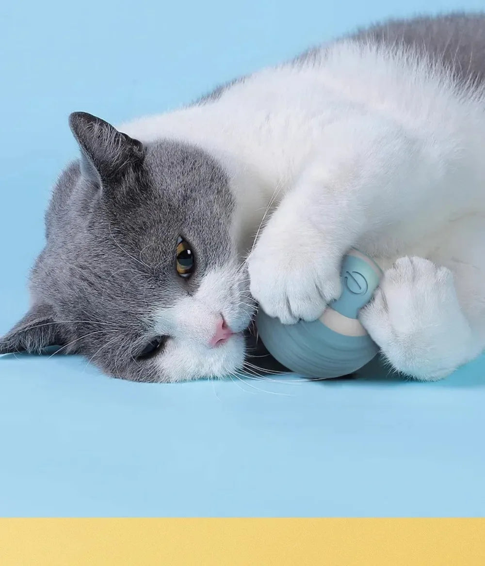 Cat Interactive Ball Smart Pet Cat Toys Indoor Automatic Rolling Magic Ball Electronic Interactive Cat Toy Cat Game Accessories