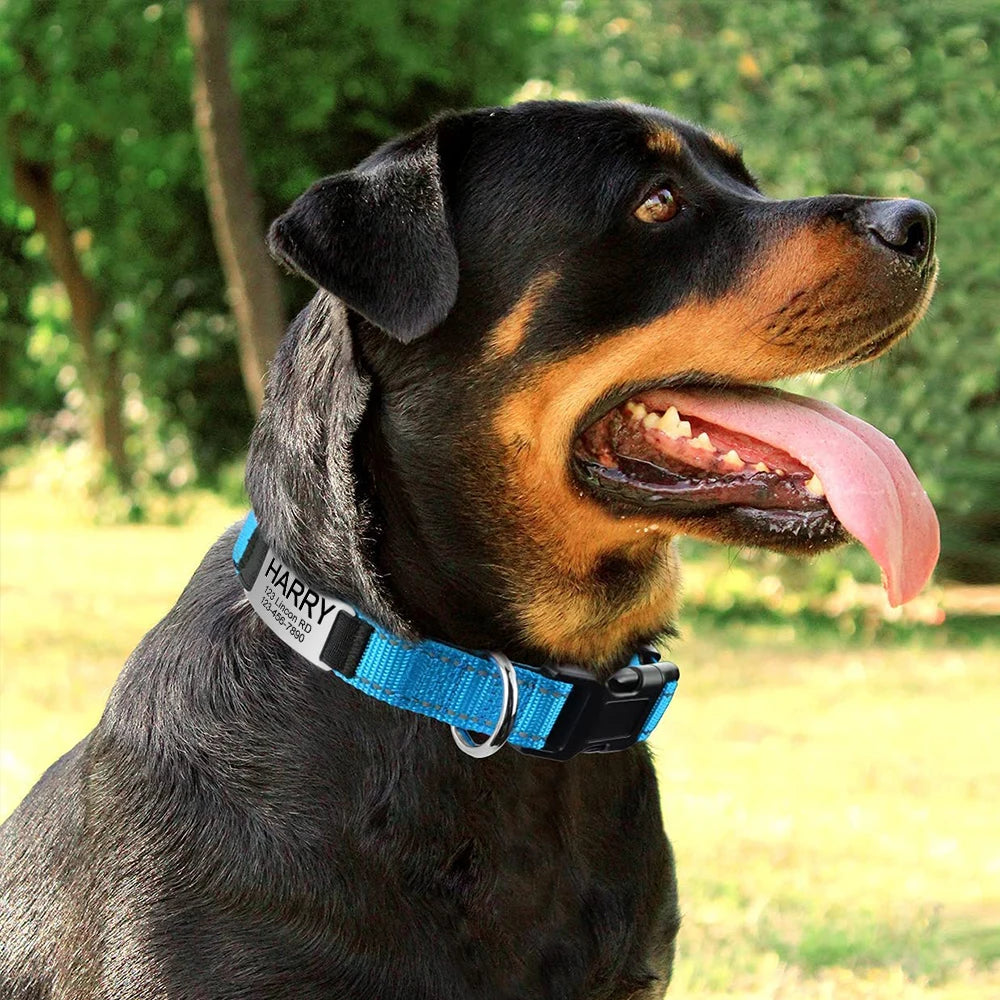Adjustable Reflective Dog Collar Nylon Custom Engraved Name ID Tag Personalized Luminous Puppy Gleamy Large Unisex Dog Collar
