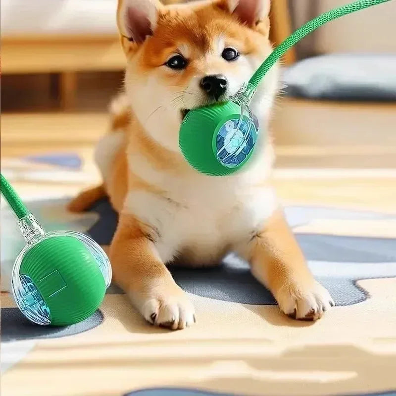 1~3pcs Cat Interactive Ball Toy Automatic Rolling Ball Tail Rechargeable Smart Pet Electric Toy Dog Cat Training Imitate Mouse