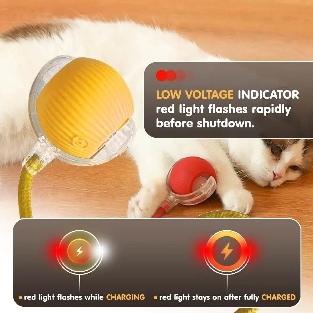 Automatic Rolling Ball with Tail Lamp USB Rechargeable Smart Interactive Cat Ball Toy for Cats Pet Dog accessories 고양이 장난감