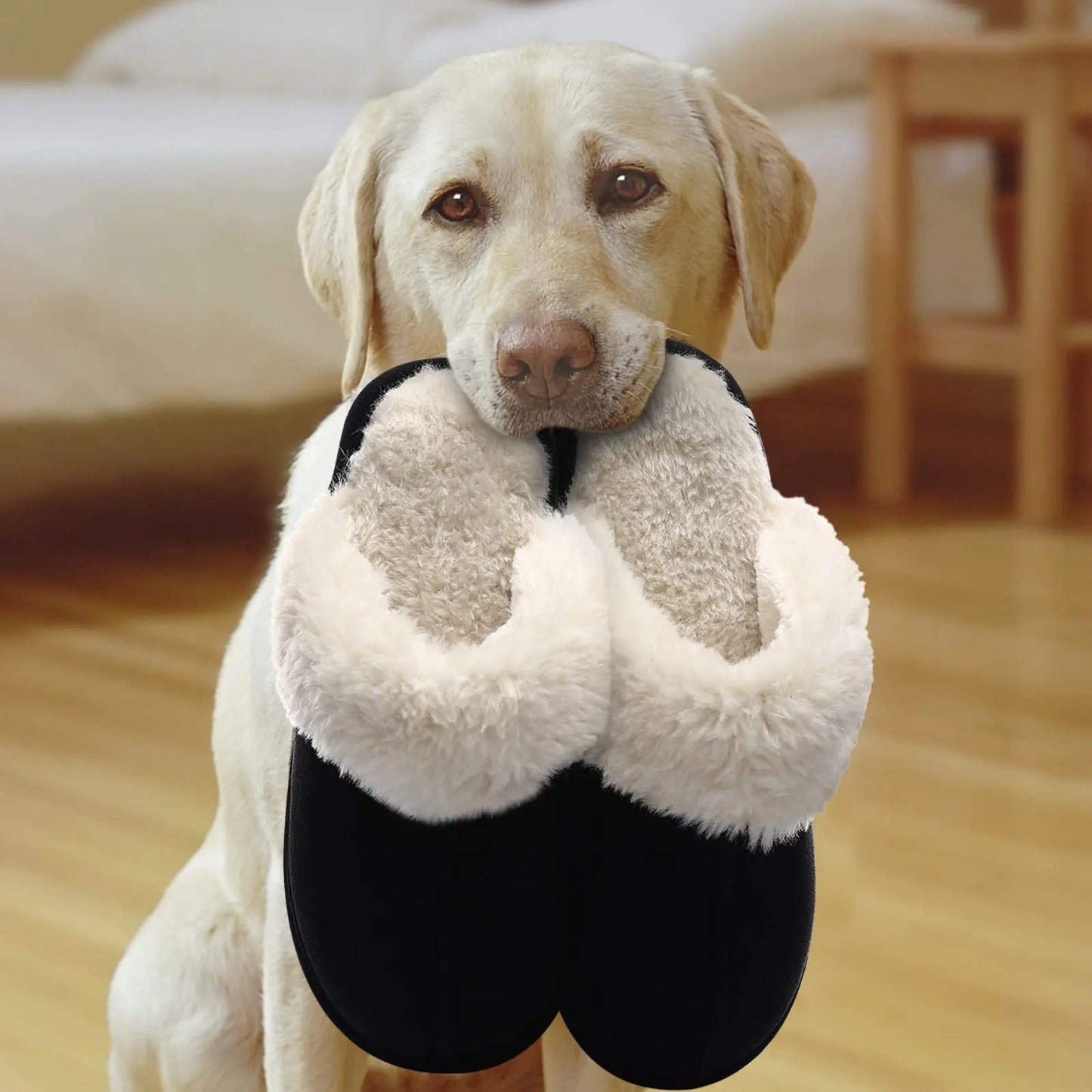 Kidmi Winter Women Fuzzy Slippers Classic Brand Fluffy House Shoes Indoor Warm Suede Cozy Slippers Casual Non-slip Cotton Shoes