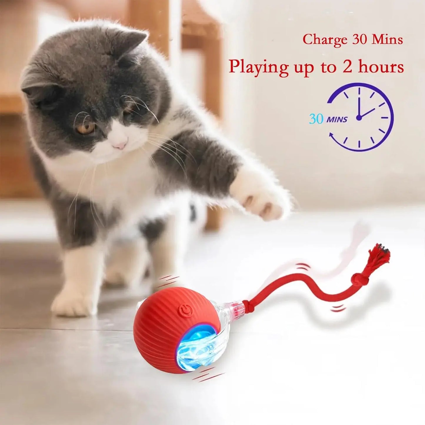 Interactive Cat Toys Ball Automatic Rolling Rechargeable Smart Obstacle Avoid Running Toys for Energetic Indoor Cats