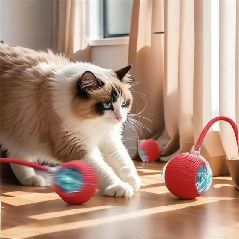 Interactive Cat Toys Ball Automatic Rolling Rechargeable Smart Obstacle Avoid Running Toys for Energetic Indoor Cats