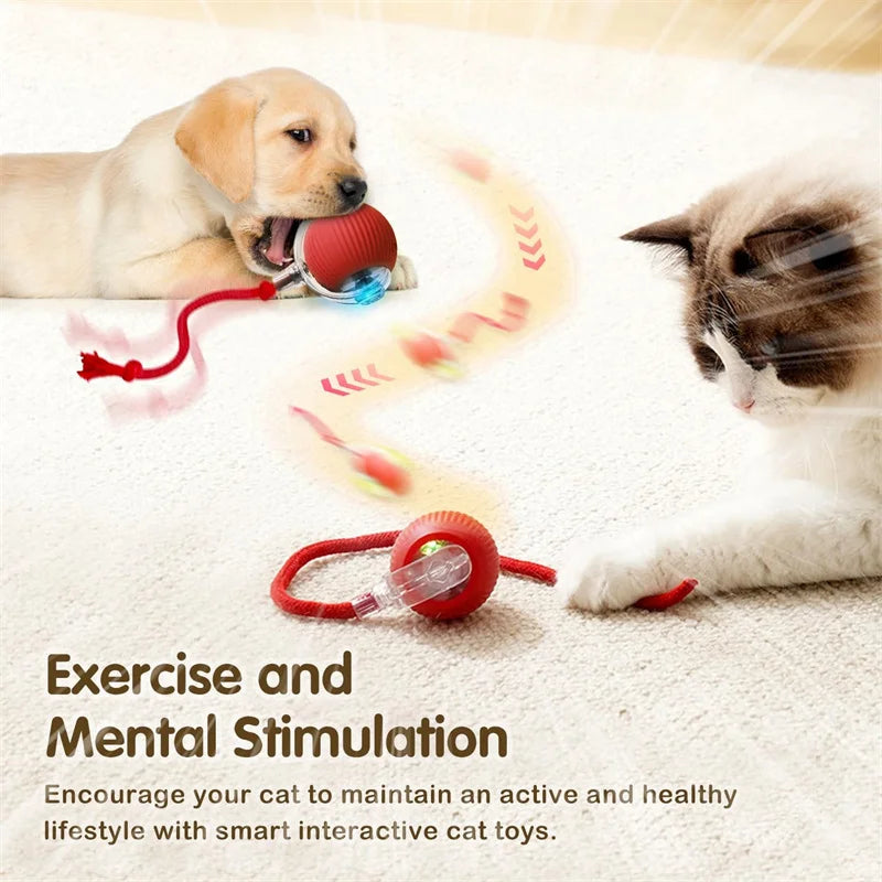 Interactive Cat Toys Ball Automatic Rolling Rechargeable Smart Obstacle Avoid Running Toys for Energetic Indoor Cats