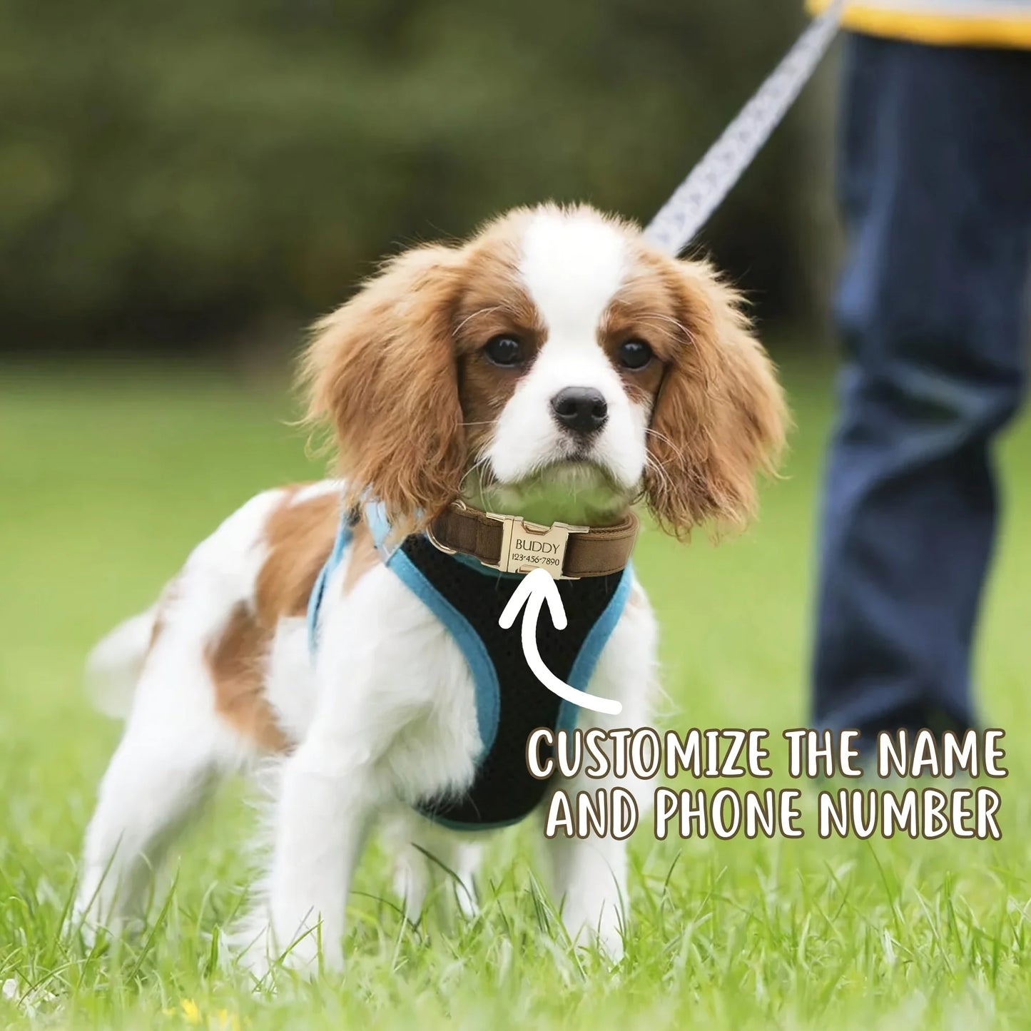 1pc Personalized Dog Collar Velvet, Engraving Custom Name Phone Number ID Tag, Soft Comfy Adjustable Collars For Small Medium La