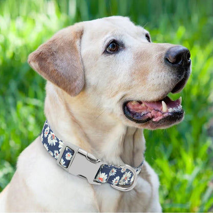 Adjustable Nylon Dog Collar Personalized Dogs Cat ID Collars With Engraved Name Buckle Anti-lost for Small Medium Large Dogs