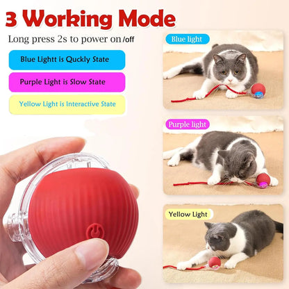 Interactive Cat Toys Ball Automatic Rolling Rechargeable Smart Obstacle Avoid Running Toys for Energetic Indoor Cats