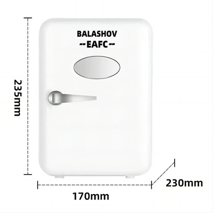 12V/110V/220V Mini Multifunction Refrigerator Cosmetics Mask Beverage Makeup Dormitory Freshness for Car Home
