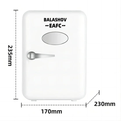 12V/110V/220V Mini Multifunction Refrigerator Cosmetics Mask Beverage Makeup Dormitory Freshness for Car Home