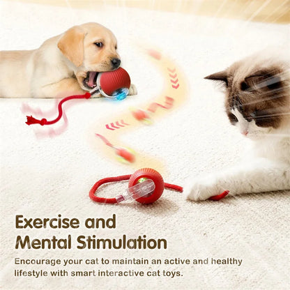 Interactive Cat Toys Ball Automatic Rolling Rechargeable Smart Obstacle Avoid Running Toys for Energetic Indoor Cats